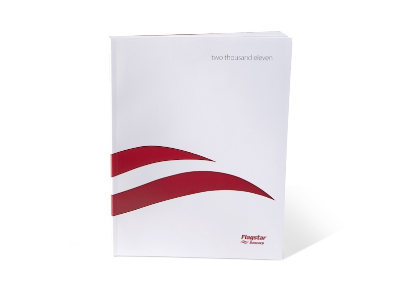 Annual Report Graphic Design