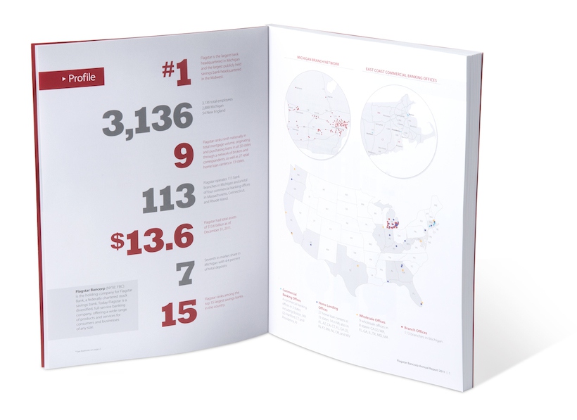 Annual Report Graphic Design